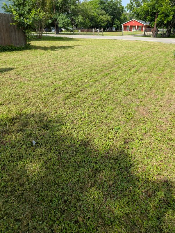 First cut on rough spring grass — even finish