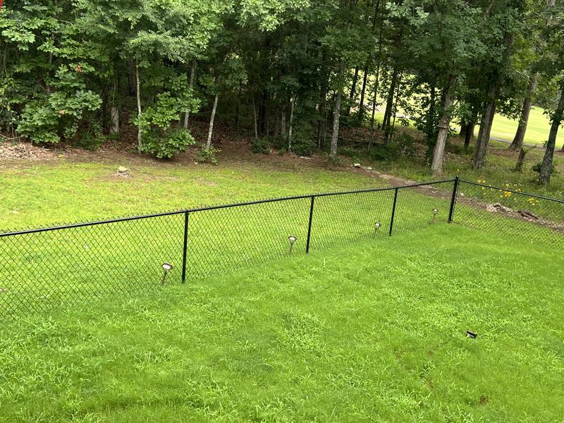Clean stripe up to the back fence line